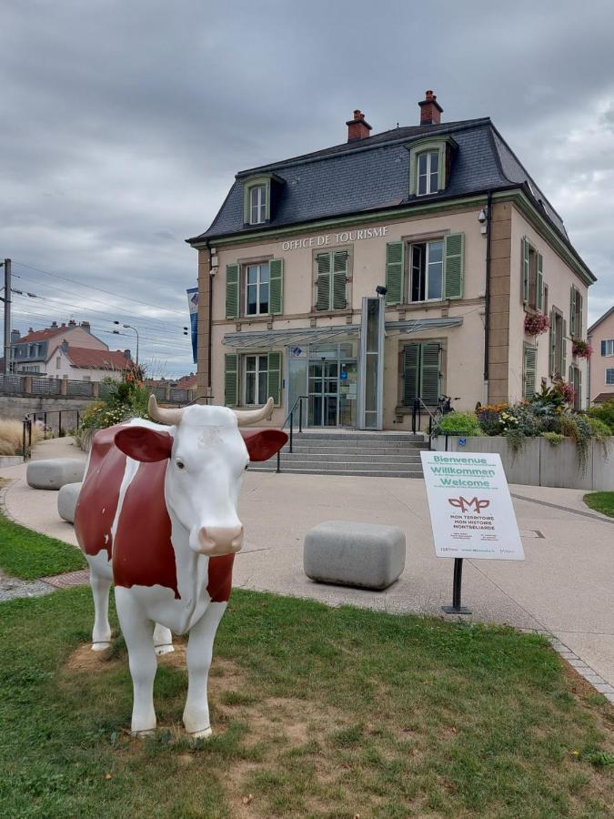 Appart' Duchatelain Lumineux, Vue Sur Chateau 몽벨리에 외부 사진